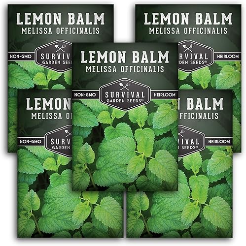 Survival Garden Seeds Semillas de bálsamo de limón para plantar, 5 paquetes con instrucciones para plantar y cultivar Melissa Officinalis en el