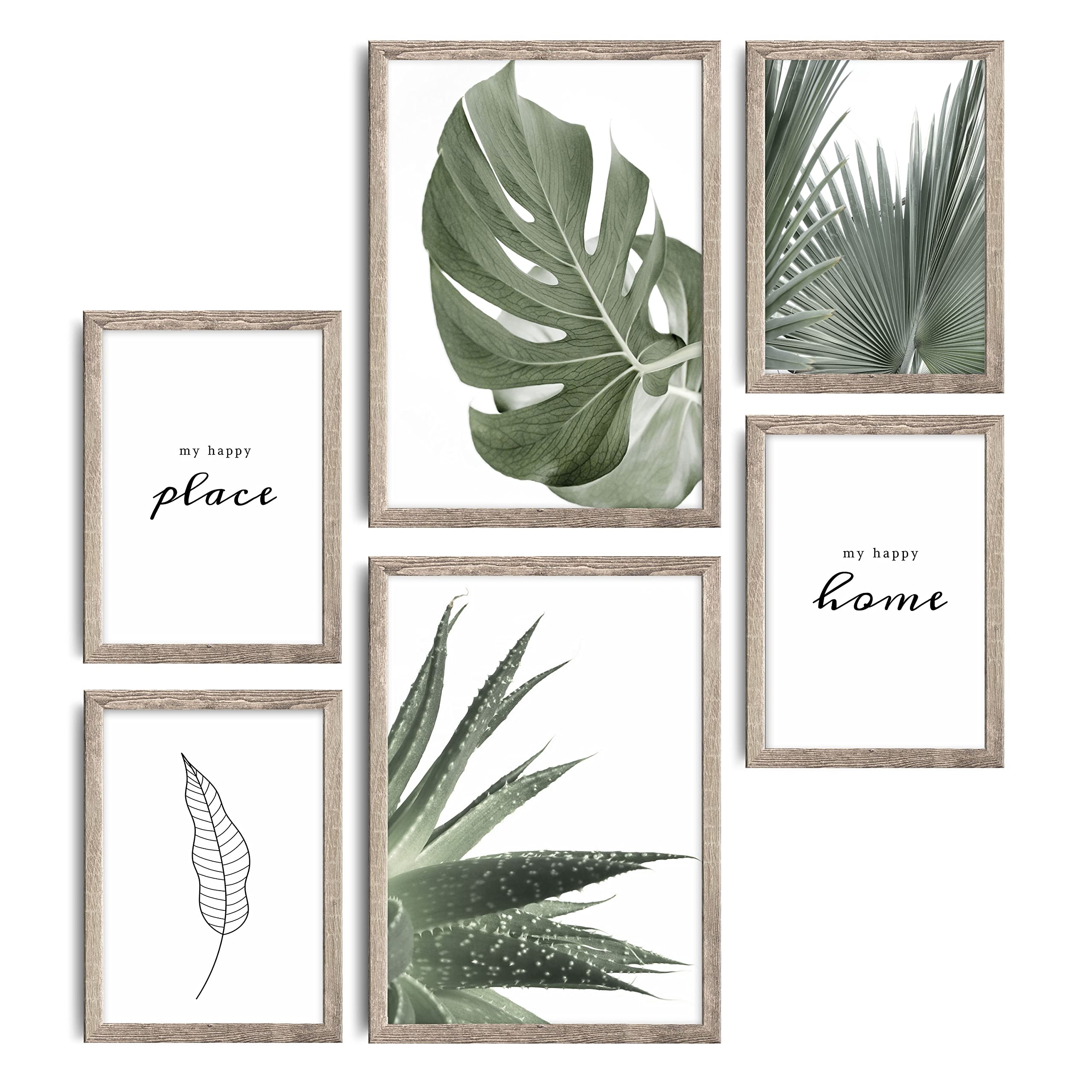 decomonkey - Set di 6 Poster con Cornice Piante Natura 4 x