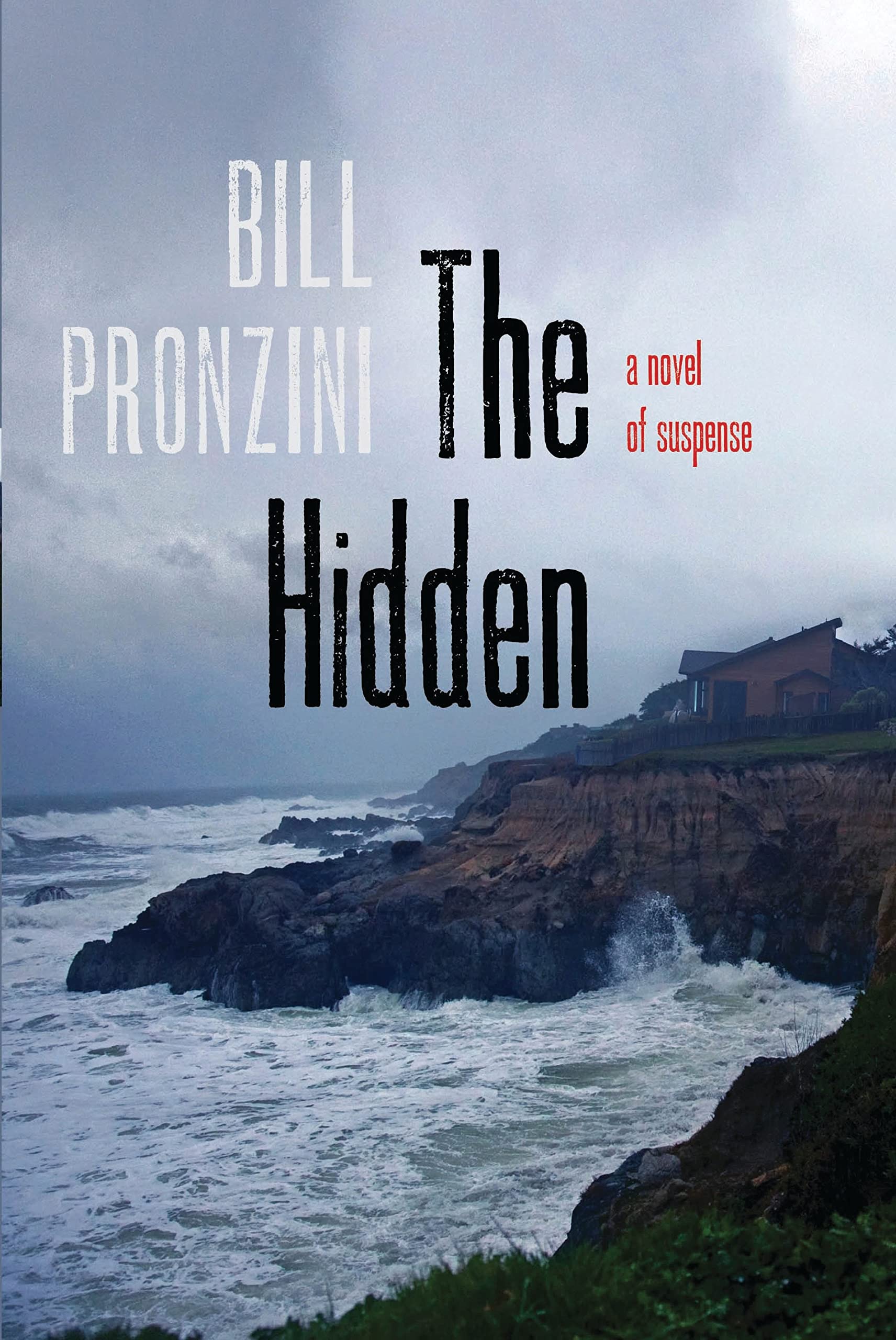 Buy The Hidden: A Novel of Suspense — BookShops.in