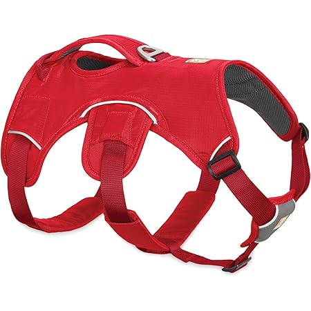dog harness use