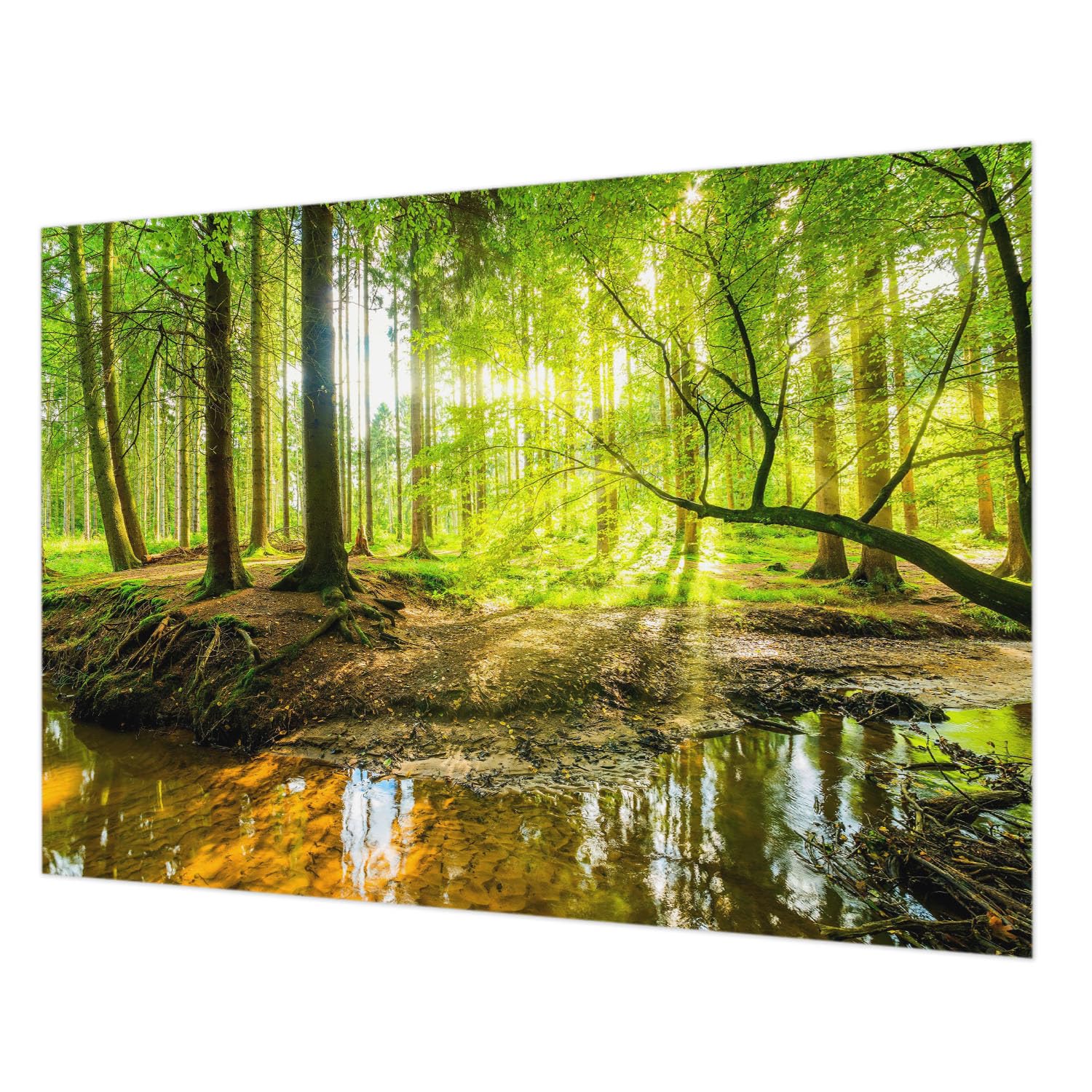 Papier peint paysage vert grand format pour salon chaleureux Tulup