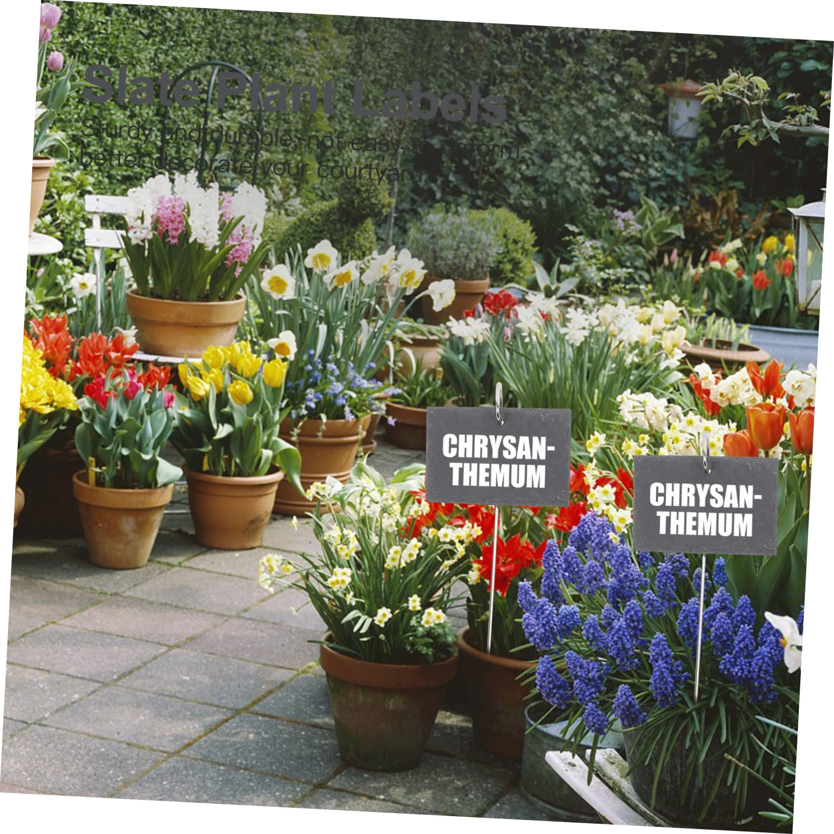 TOYANDONA Étiquettes de Jardin en Ardoise et Fer, Résistantes et Écriture Facile, Décoratives pour Fleurs et Plantes, pour Décorer Votre Cour