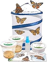 Vista 8 de Kit de mariposas vivas, 5 mariposas Dama pintada, jaula desplegable