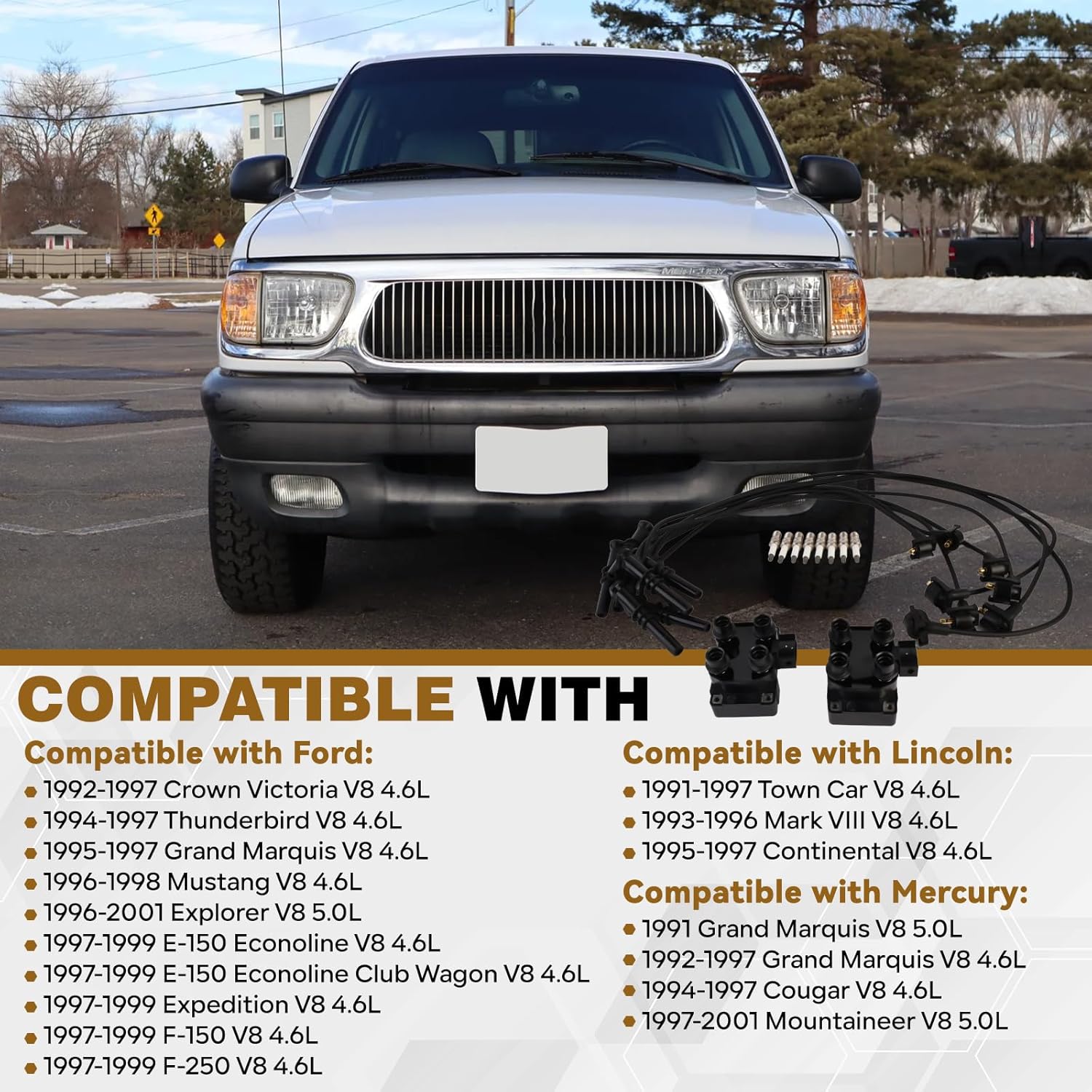 2PCS FD487 Ignition Coils and 8 Iridium Spark Plugs with Wire Set Compatible with Mercury Lincoln Town Car Ford Expedition F-150 Crown Victoria 4.6L V8 Replace DG530 DG523