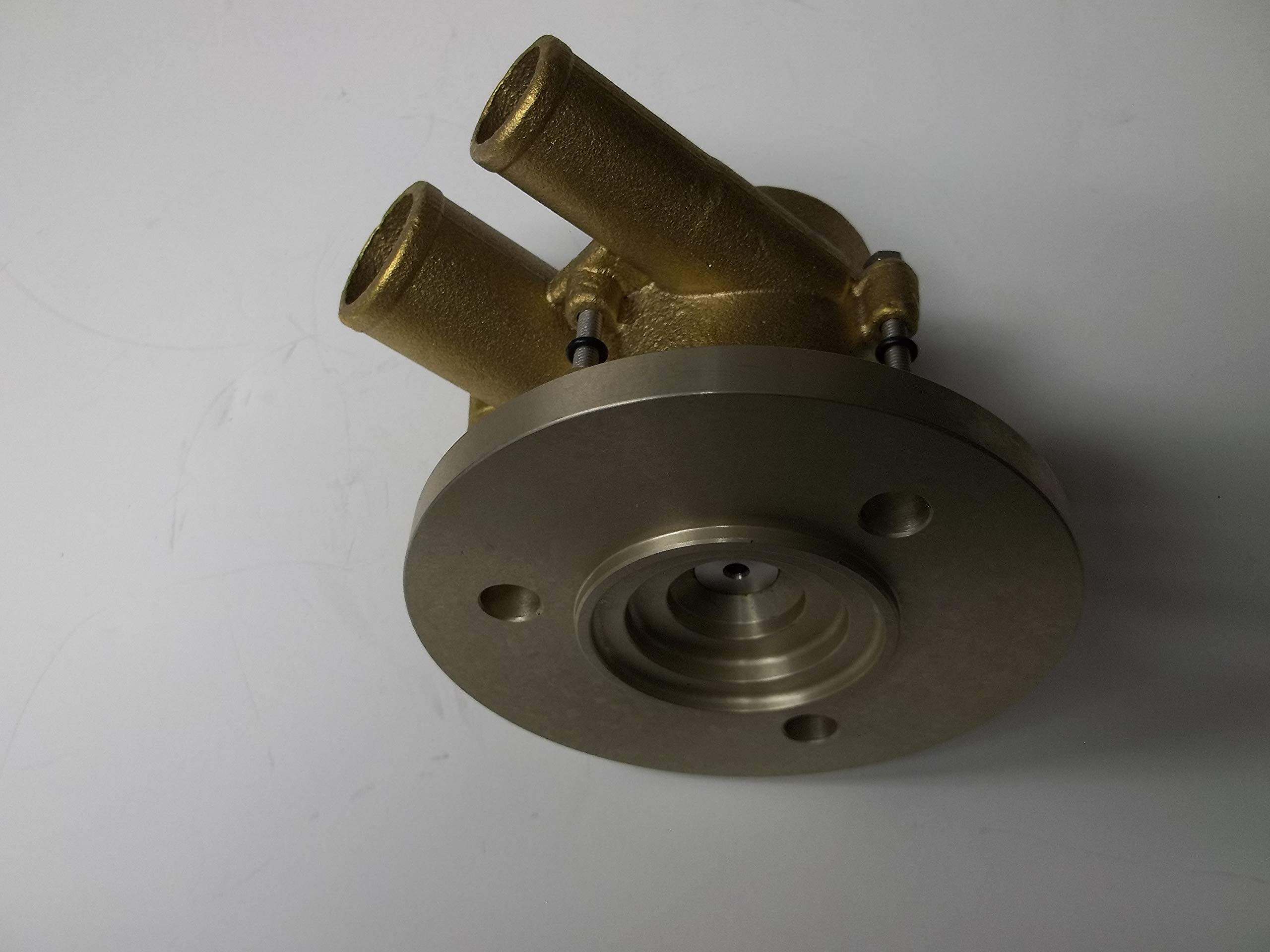 Amazon.com: Raw Water Sea impeller Pump 21212800 3812518 8.1L