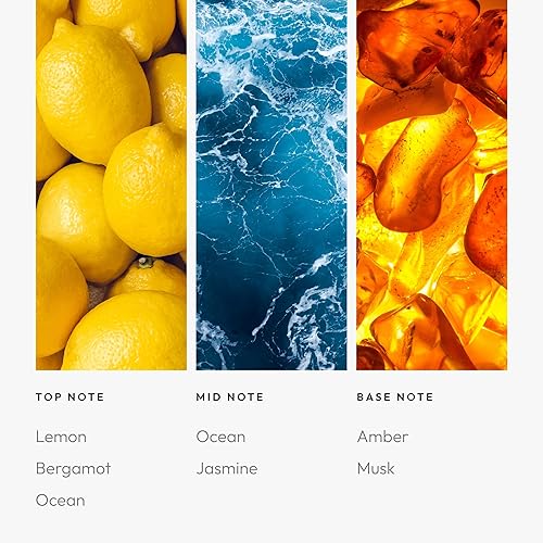 Miniatura 285 de Aroma360 Dream On - Mezcla de aceites aromáticos – 16.9 fl oz – Aceite difusor de aromaterapia perfumado con té blanco sereno, aloe vera curativo