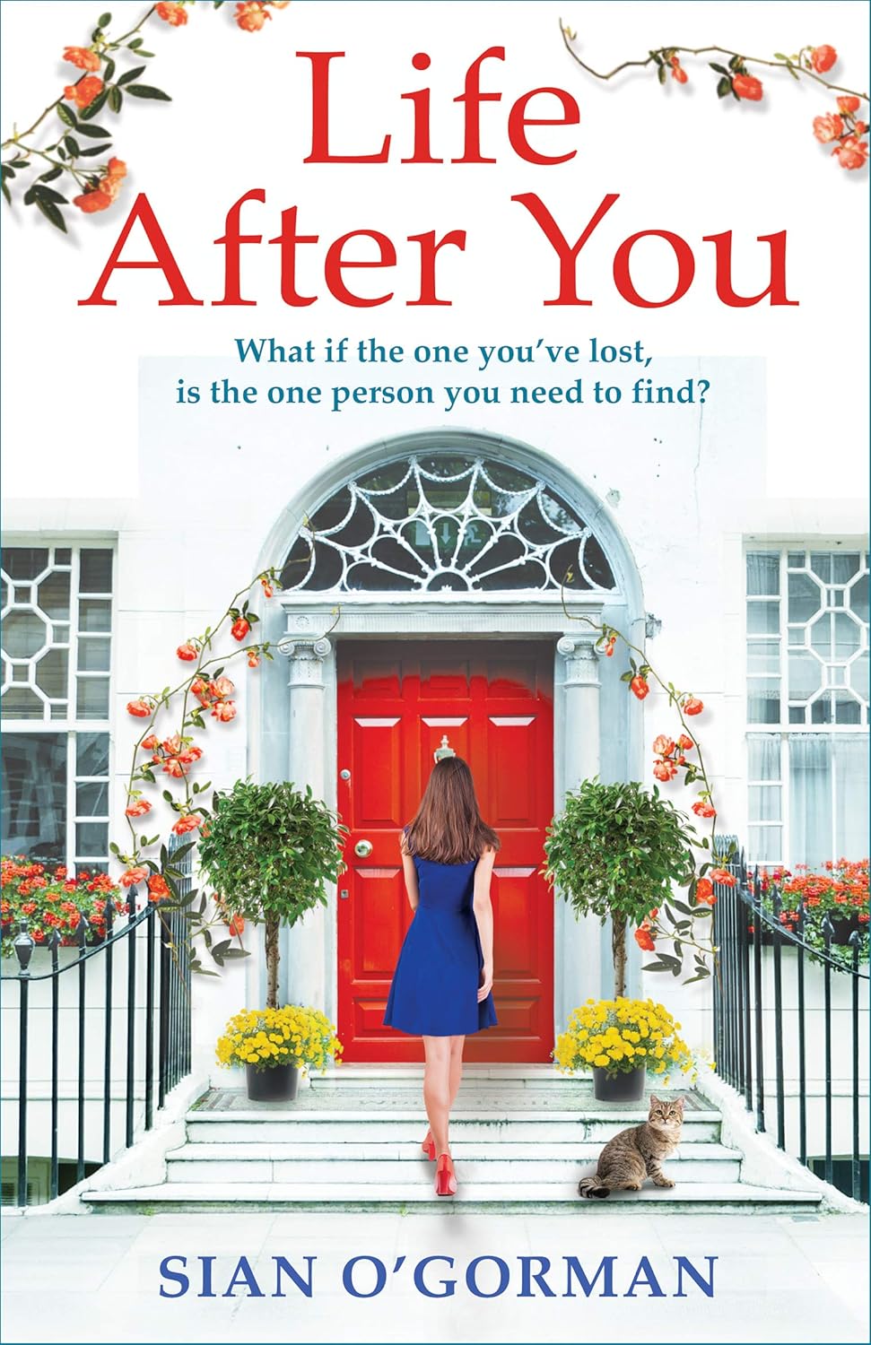 Life After You: A heart-warming Irish story of love, loss and family      Kindle Edition