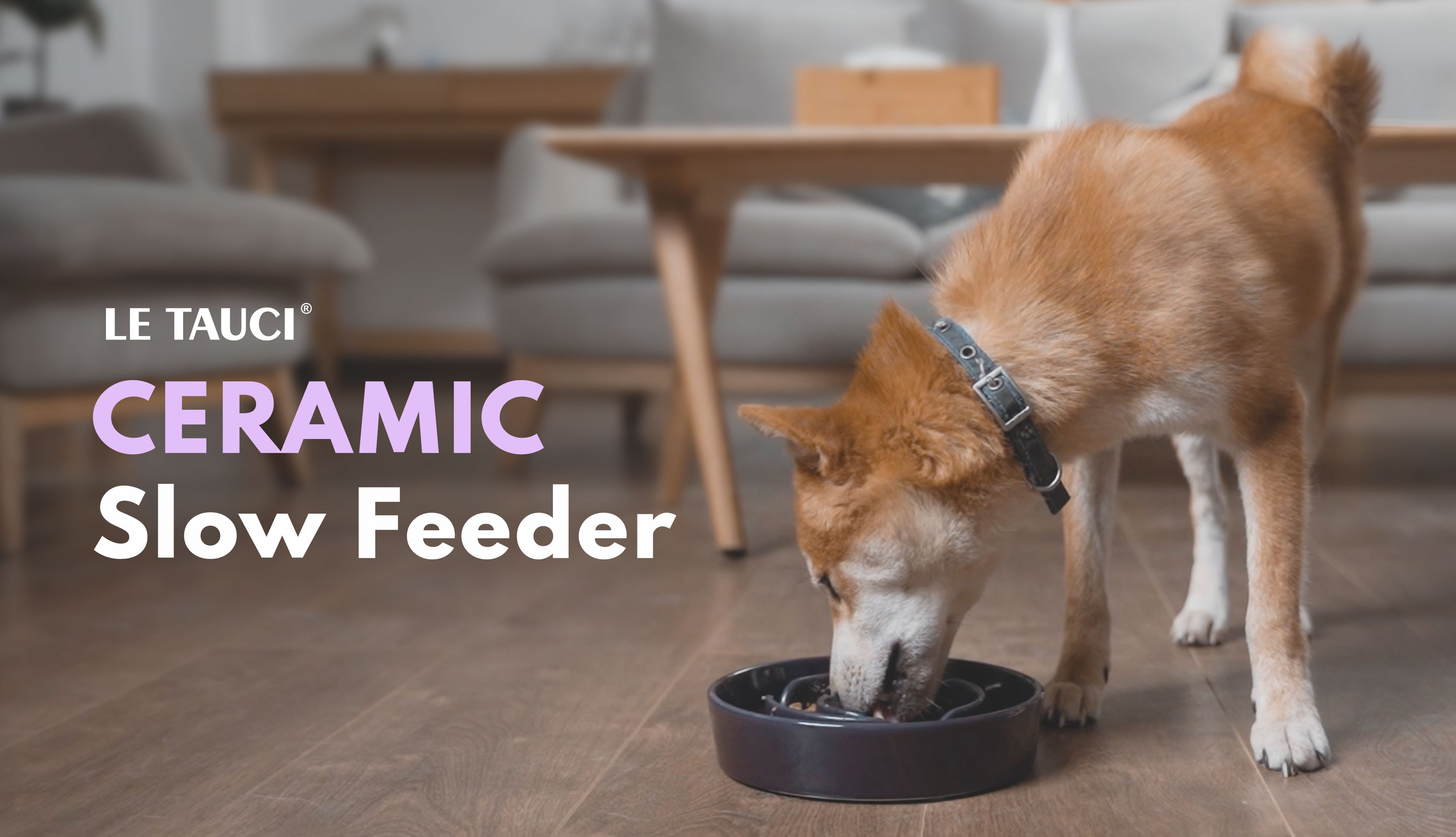 LE TAUCI Slow Feeder Dog Bowls Ceramic, 1.5 Cups Slow Feeding Dog Bowl Small Medium Breed, Puppy Slow Feeder Bow for… - Image 8