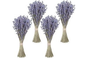 Timoo Dried Lavender Bundles: Natural Fragrance for Home, Decor, and Celebrations