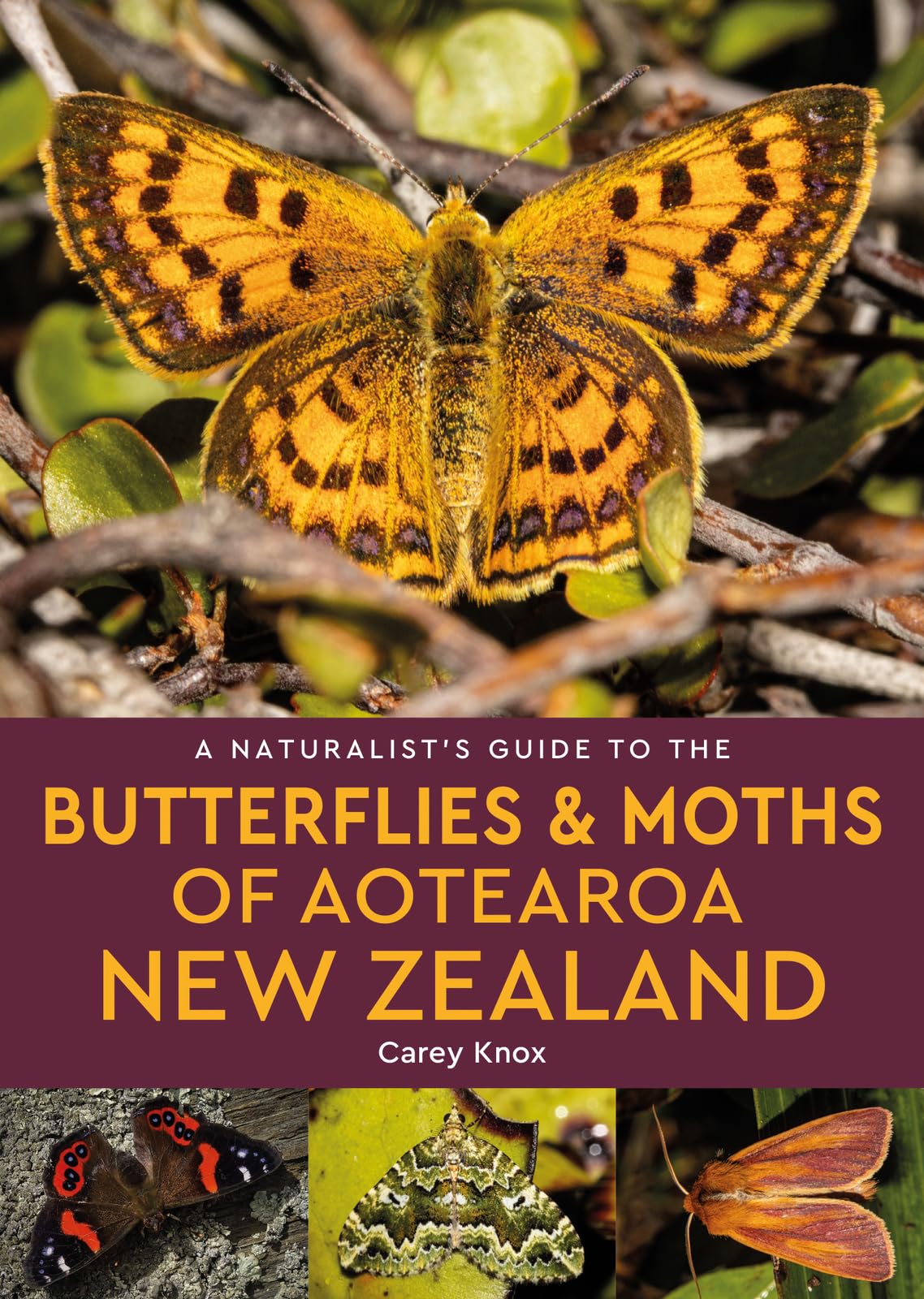 A Naturalist's Guide to the Butterflies & Moths of Aotearoa New Zealand (Naturalists' Guides)