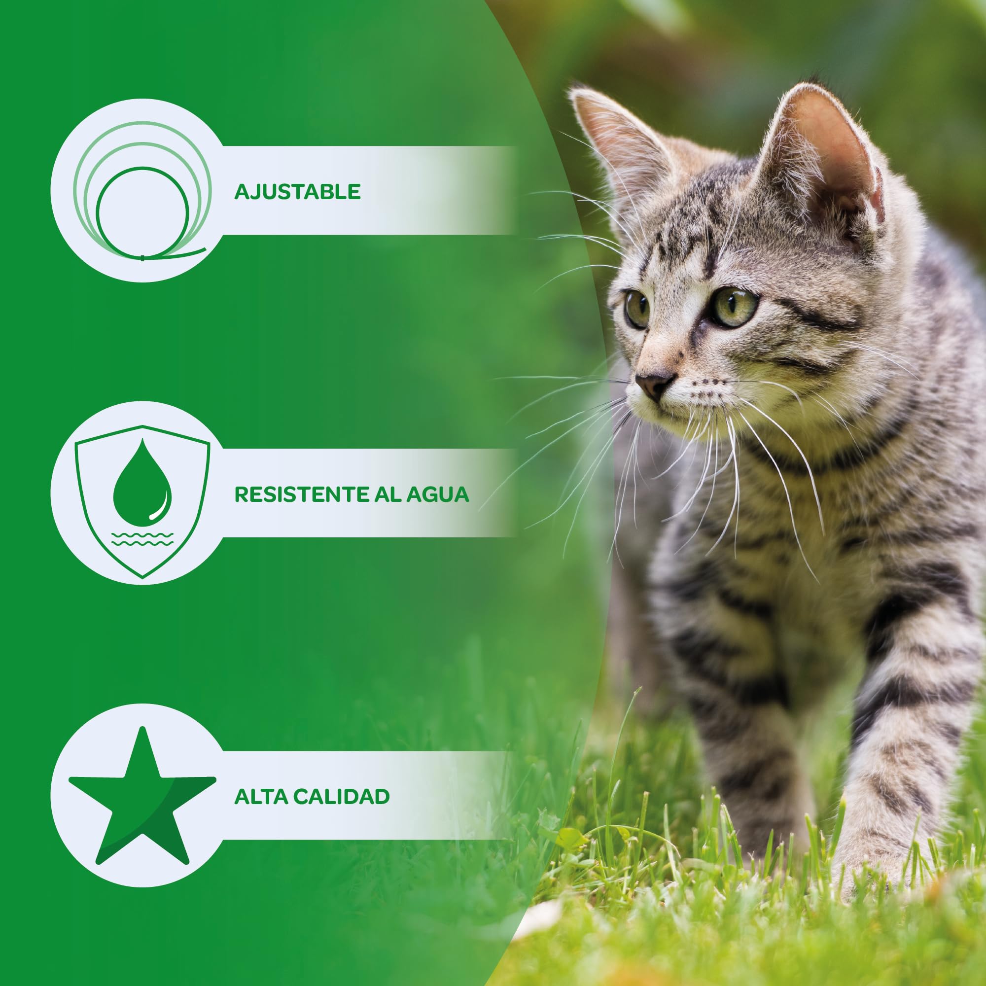 Collar Antiparasitario para Gato en, 8 Meses de Protección, Eficaz contra Pulgas, Garrapatas, Mosquitos y Piojos, Resistente al Agua, 38 cm de Largo, Ajustable (Amarillo)