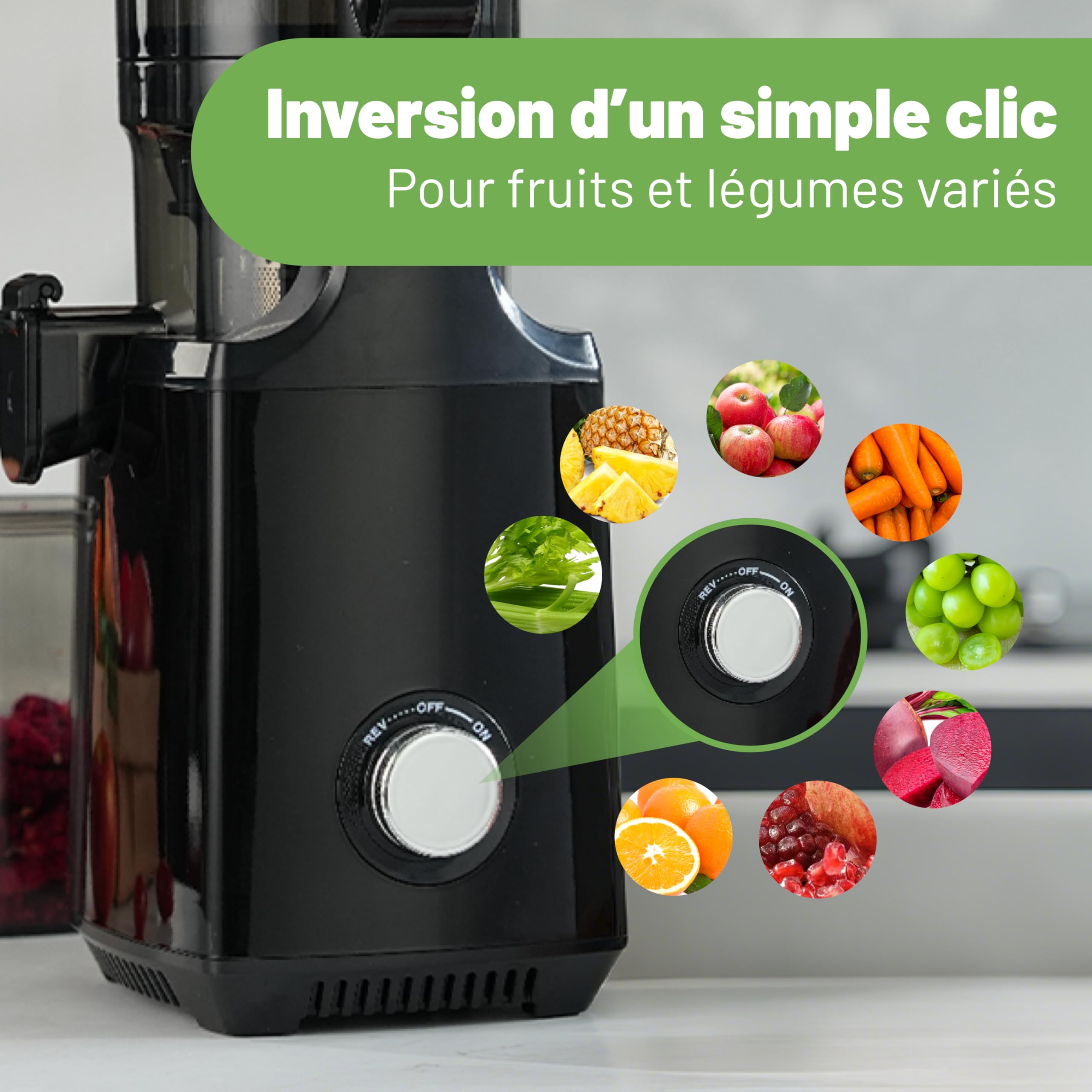 Fretta Extracteur de Jus à Mastication Lente 250W, Grande Goulotte 135mm, Sans BPA, Noir