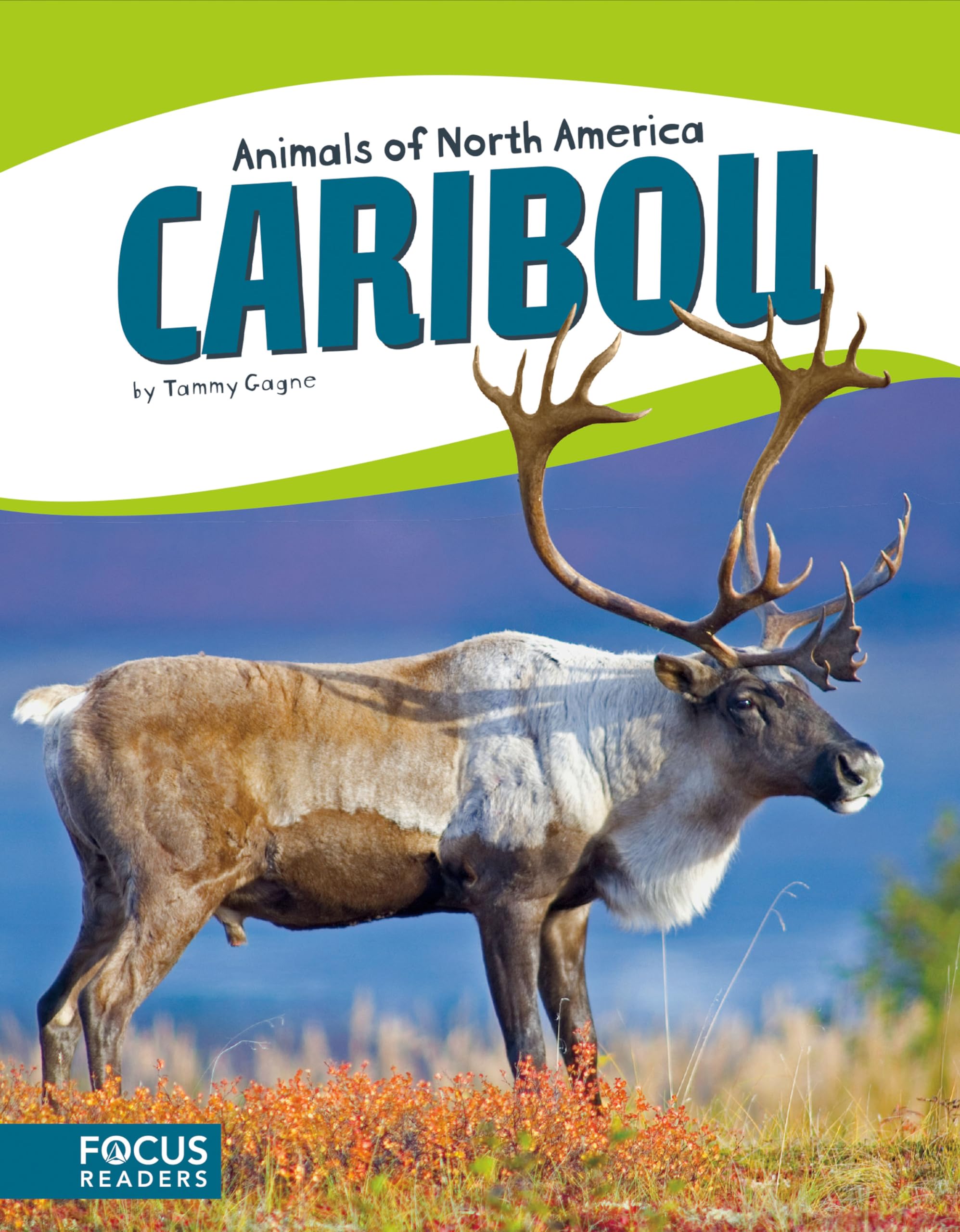 Caribou (Animals of North America) (Animals of North America (Paperback))