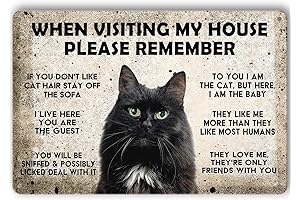 Cat Metal Sign When Visiting My House Please Remember Funny Black Cat...