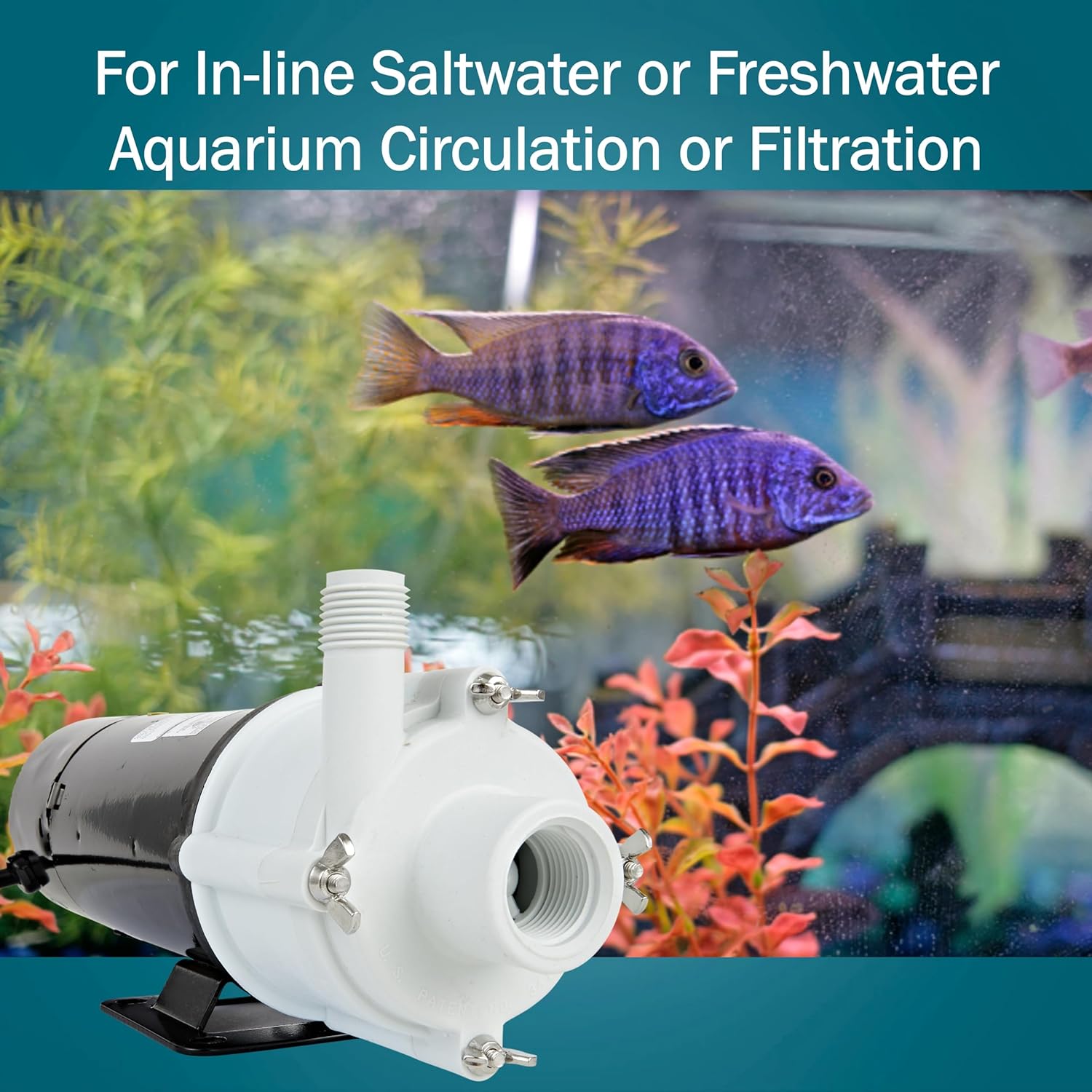 Little Giant 3-MDQ-SC 115 Volt, 1/15 HP, 700 GPH Non-Submersible Magnetic Drive Aquarium Pressure Pump for Cannister Filtration Systems with 6-Ft. Cord, Black/White, 581506