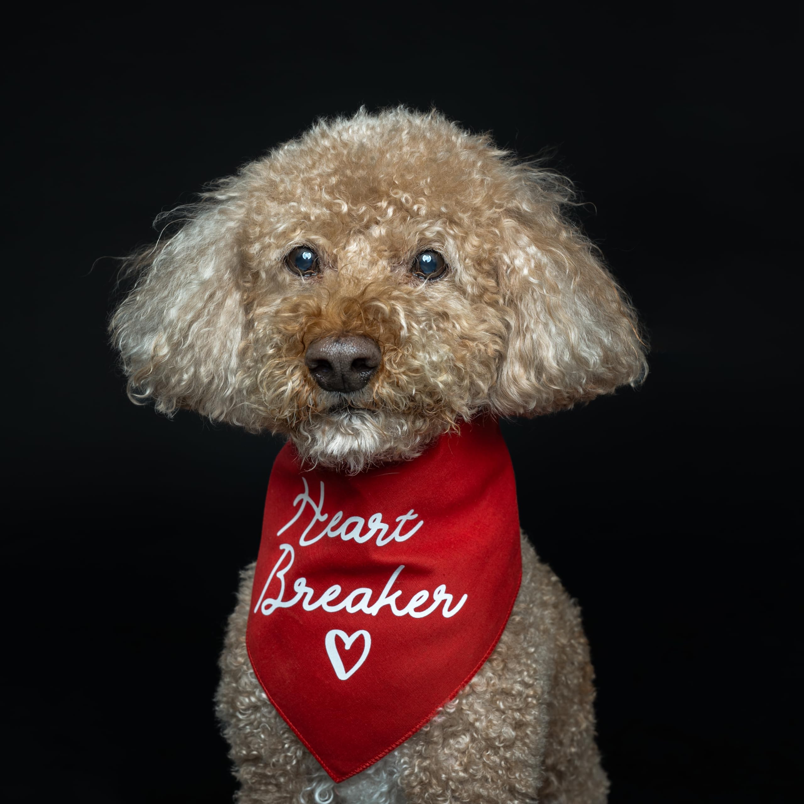 Heart Breaker Valentine's Day Dog Bandana (Turquoise, OS 10)