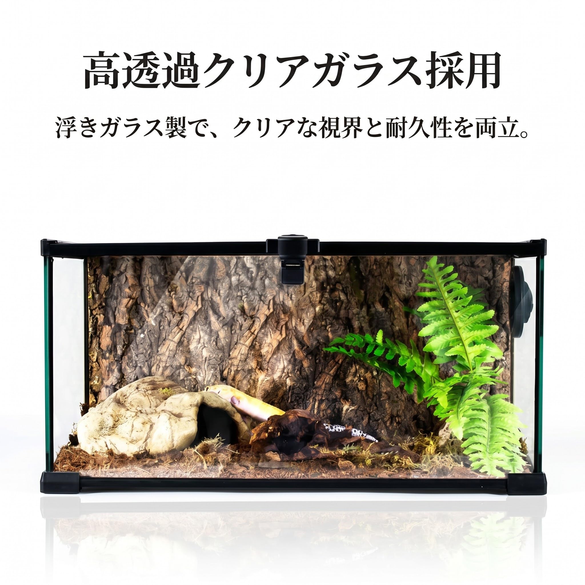 Amazon | 爬虫類 ケージ 爬虫類飼育 苔 テラリウム グラステラリウム