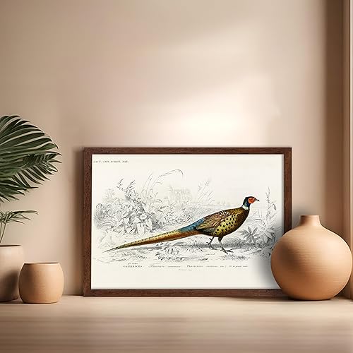 Miniatura 489 de Poster Master Póster vintage de flamenco americano, estampado retro de flamenco rosa, arte de pájaro, regalo para él, ella, amante de los animales,