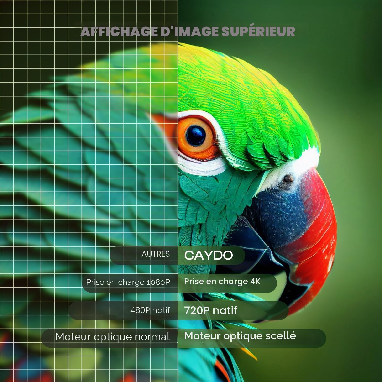 Caydo P1 Projecteur de Dessin pour Artistes, Application de Dessin Intégrée