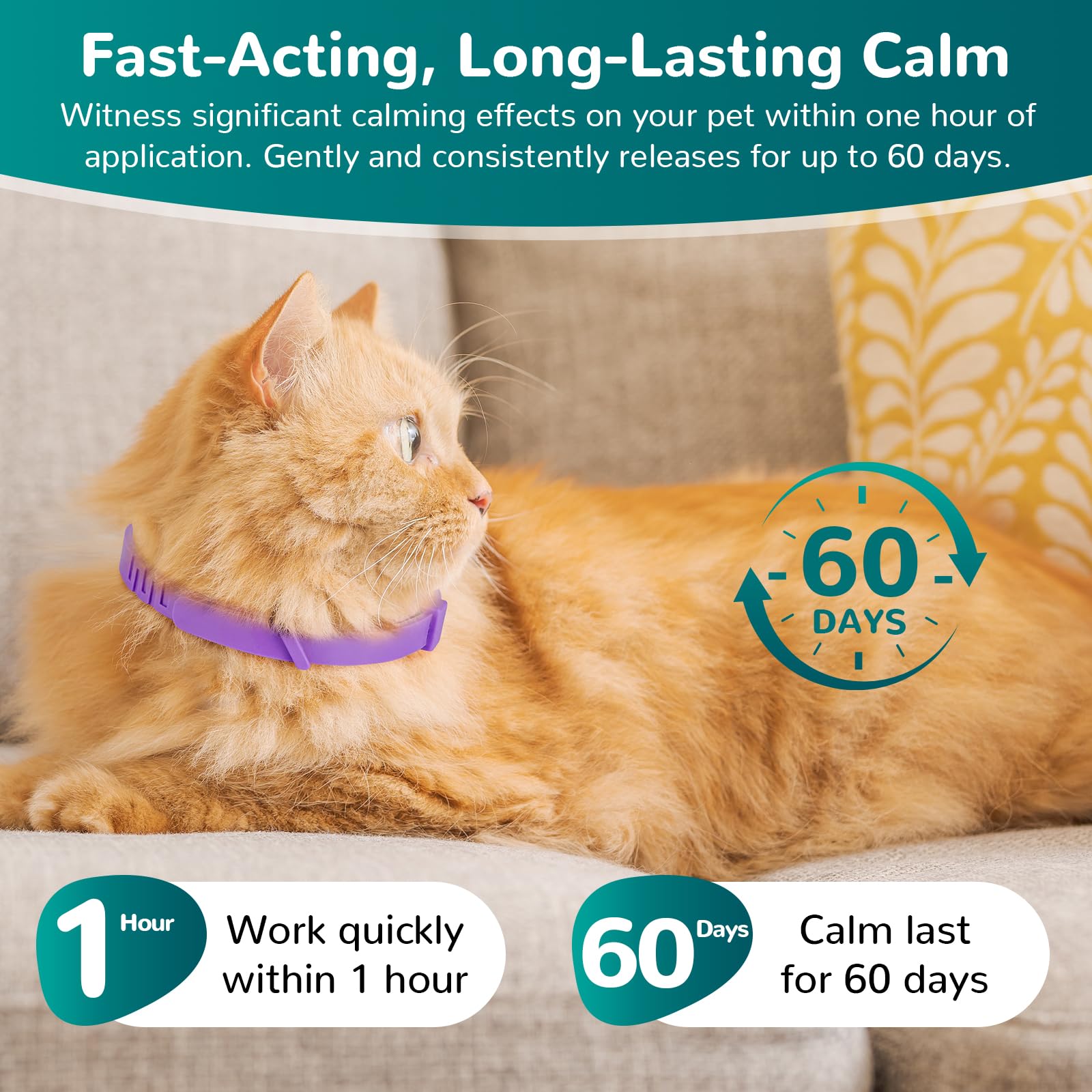 Calming Collar for Cats, Pheromone Collar for Cat Anxiety Relief, 60 Days Adjustable Waterproof TPE, Cat Calming Collars Helps Calm During Loud Noises and Separation (Rainbow, 2 Pack) - image 2