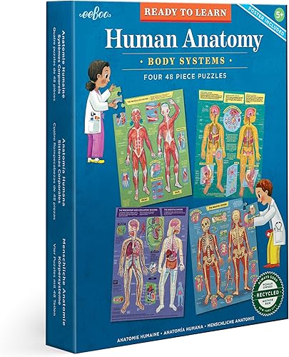 eeBoo: Listo para aprender: 4 rompecabezas de anatomía humana – Sistemas corporales juego de 4 – 48 piezas de rompecabezas, incluye póster