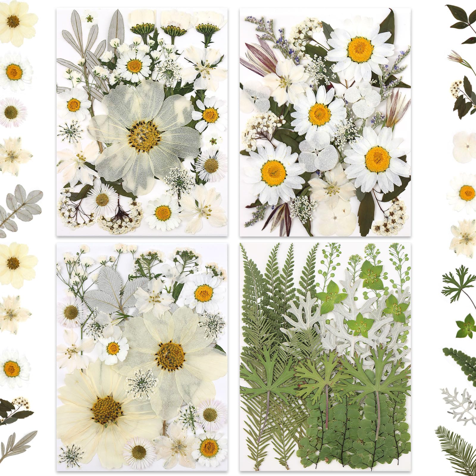 LUXEEASE 100P White Foliage & Flower Mix Dried Flowers - dried and preserved flora | Mubboo