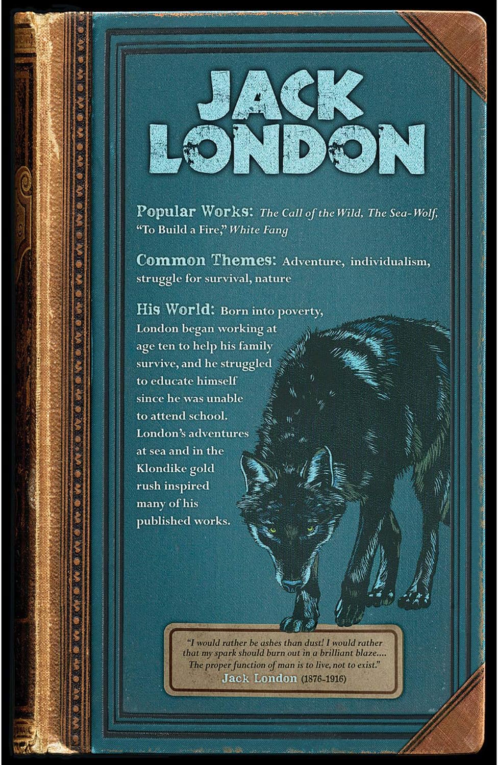 Best Quality 🔥 NORTH STAR TEACHER RESOURCE American Authors Bulletin Board Set