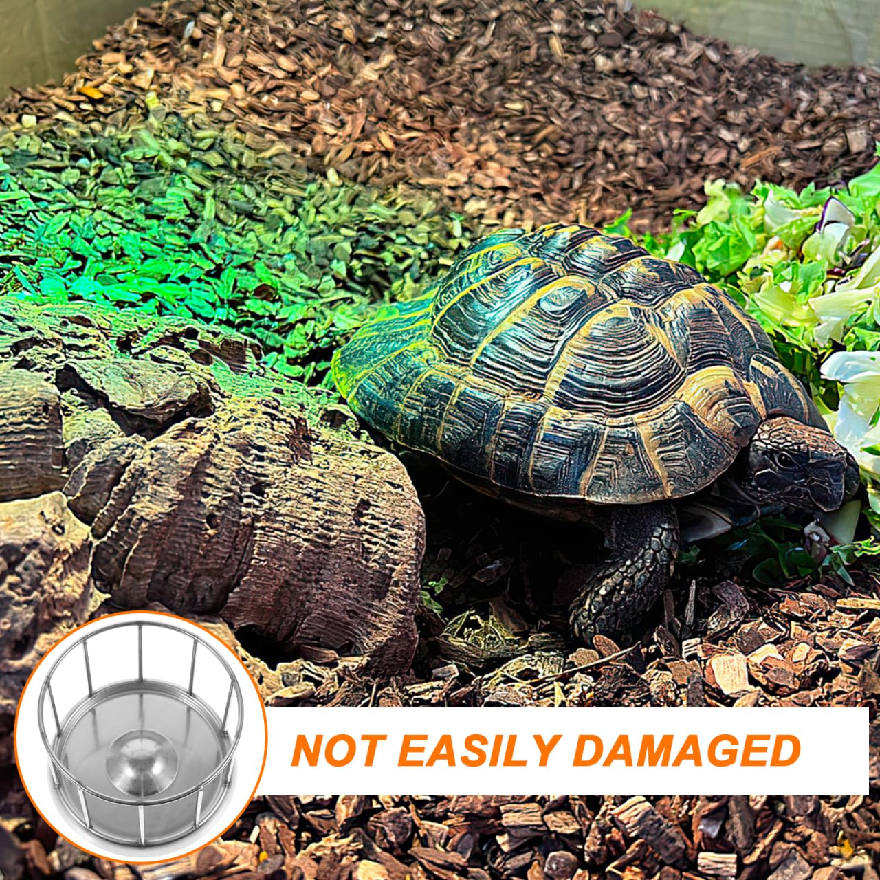 Cabilock Distributeur de Nourriture en Acier Inoxydable pour Tortues et Reptiles avec capacité - Élégant Bol de Nourriture avec Finition Fine pour terrariums et Cages pour Animaux de Compagnie