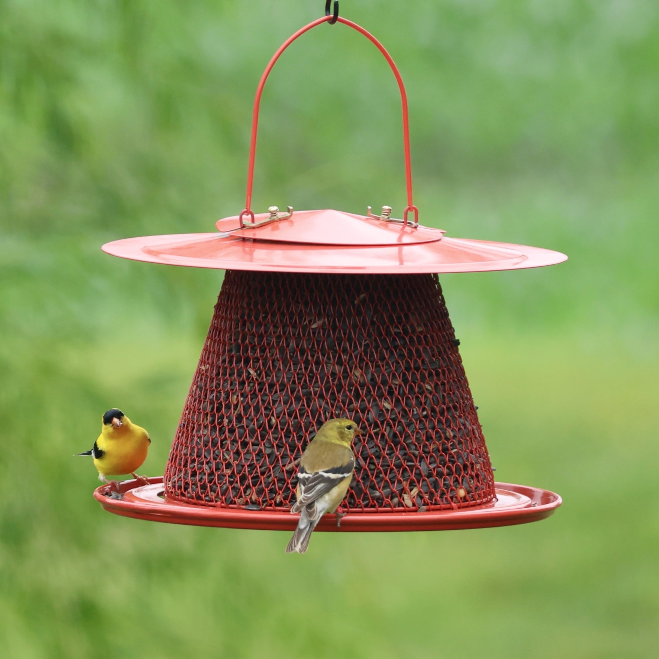 Comedero plegable de malla metálica para pájaros, comedero de pájaros cardenal rojo con capacidad para 12 tazas de semillas de girasol