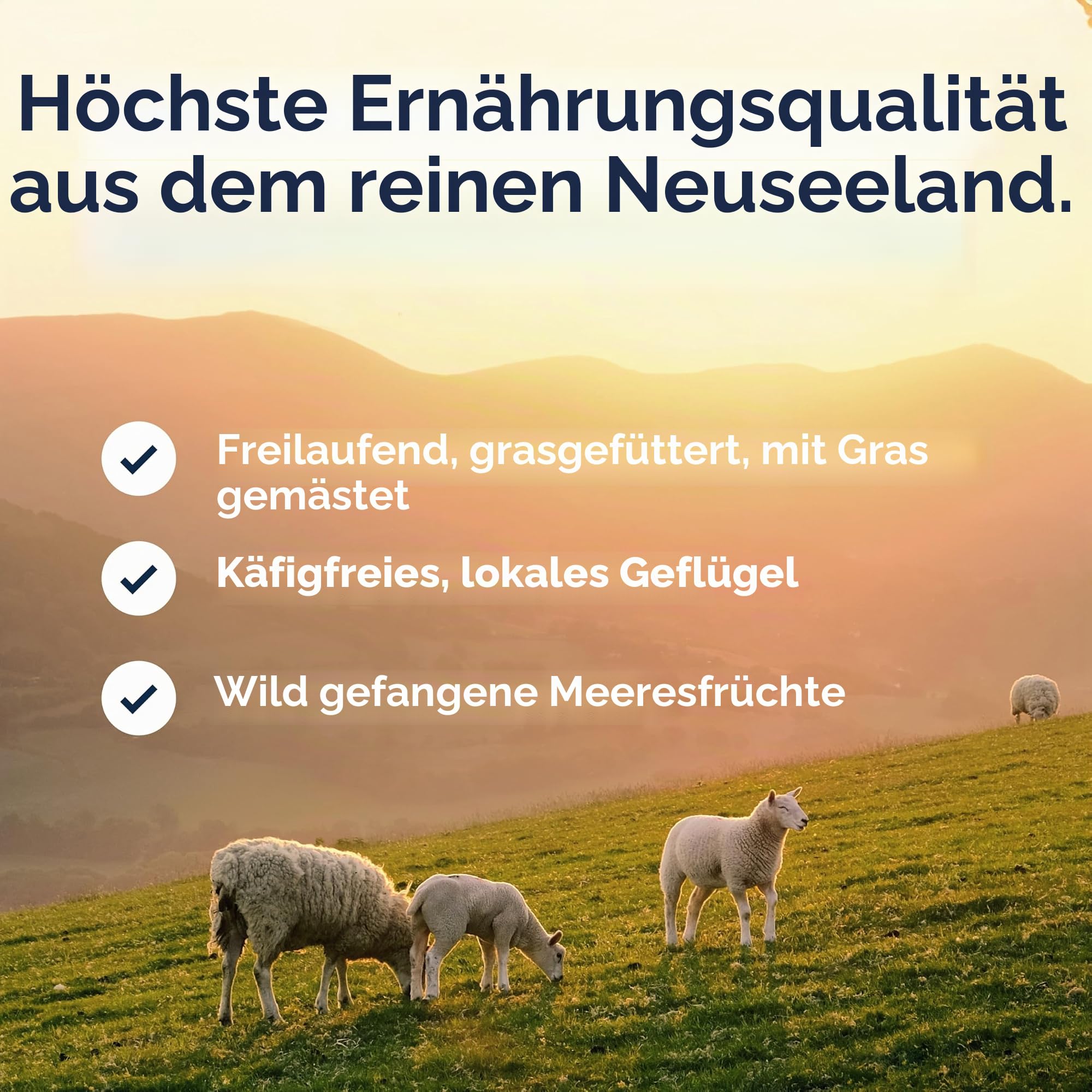 ZIWI Peak Steam & Getrocknetes Käfigfreies Huhn mit ganzer Makrele, 2,2 kg – Natürliches, proteinreiches Katzenfutter trocken, Rohe Alternative & getreidefreies komplettes Trockenfutter für Katzen