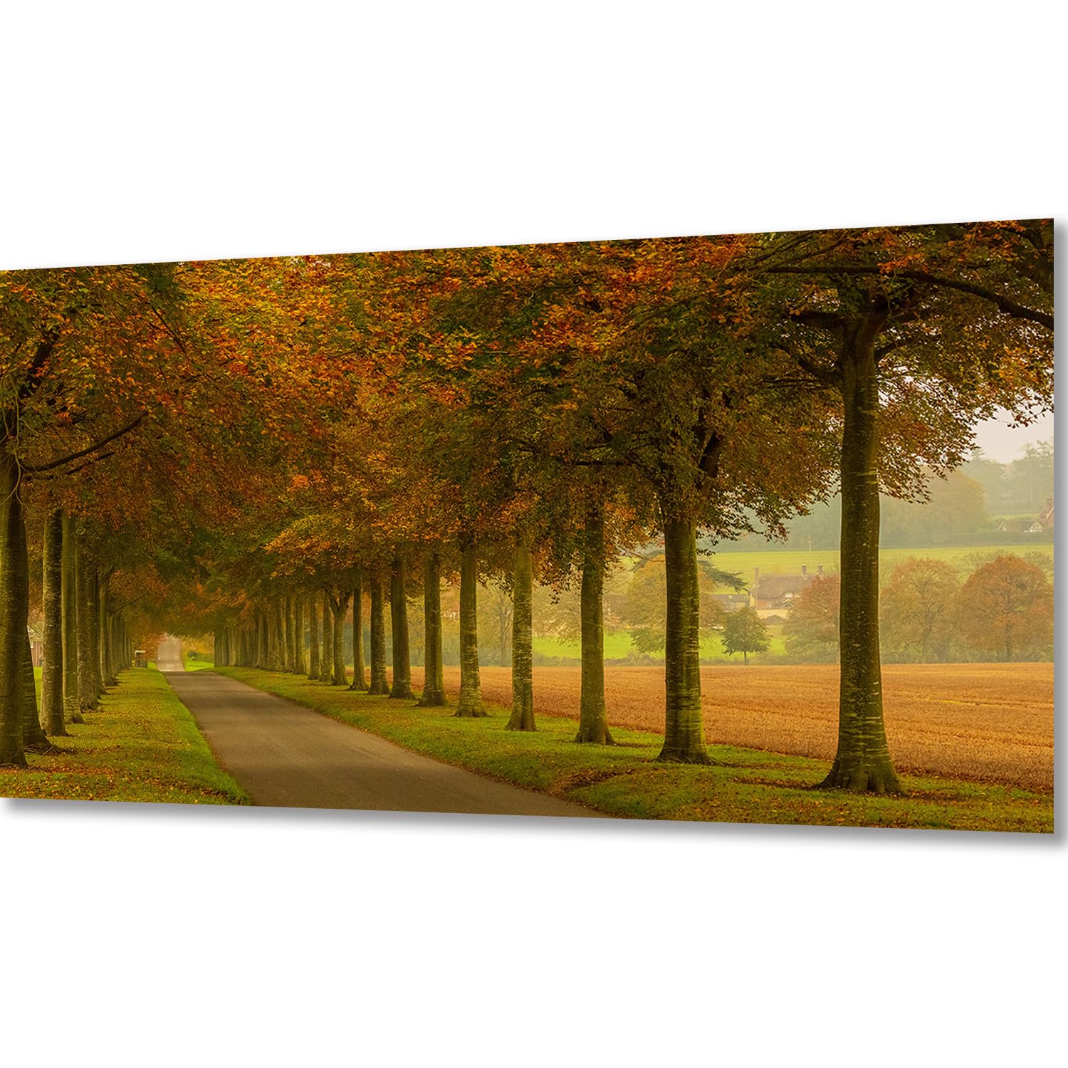 ZGmaxCL DIY Fai da Te 5D Diamond Painting Kit Completo Cabina