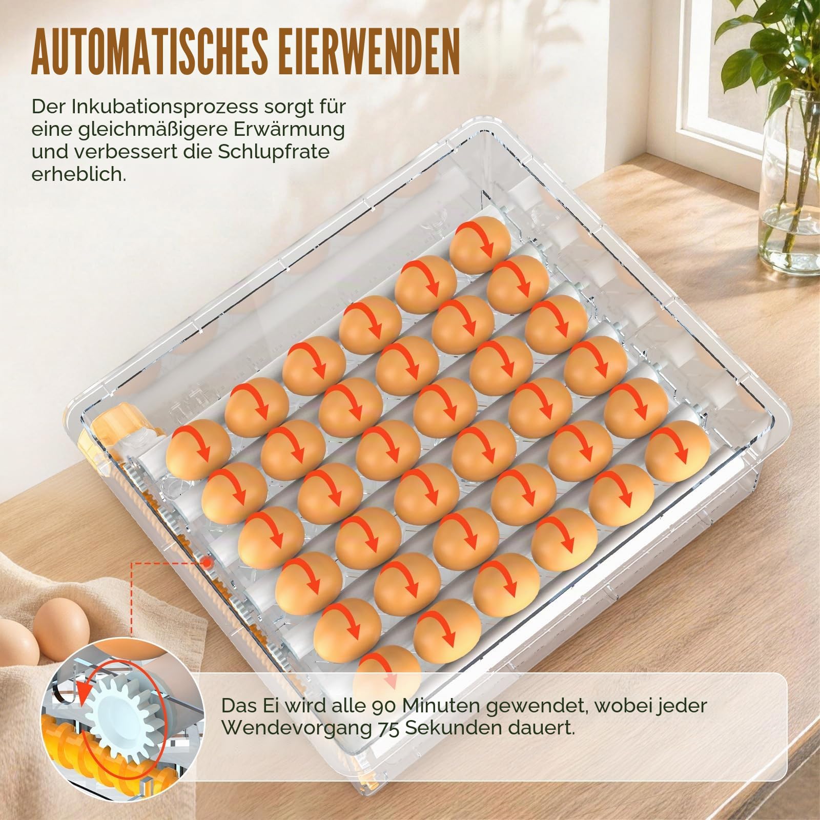 Brutautomat Vollautomatisch für 16-120 Eier, Brutmaschine mit Automatischer Wendung & Wasserzugabe, Inkubator 12V/220V Dual mit LED-Display, Temperaturkontrolle & Schierlampe für Hühner, Wachteln