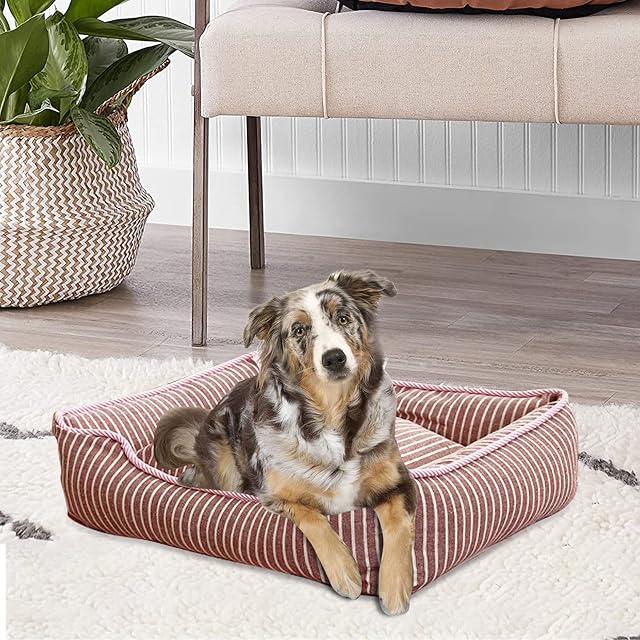 Foto 5 de 6 de PETCUTE Cama Gato y Perros Pequeños,Camas para Perros,Ortopédica Cama para Perros de Espuma Viscoelástica…