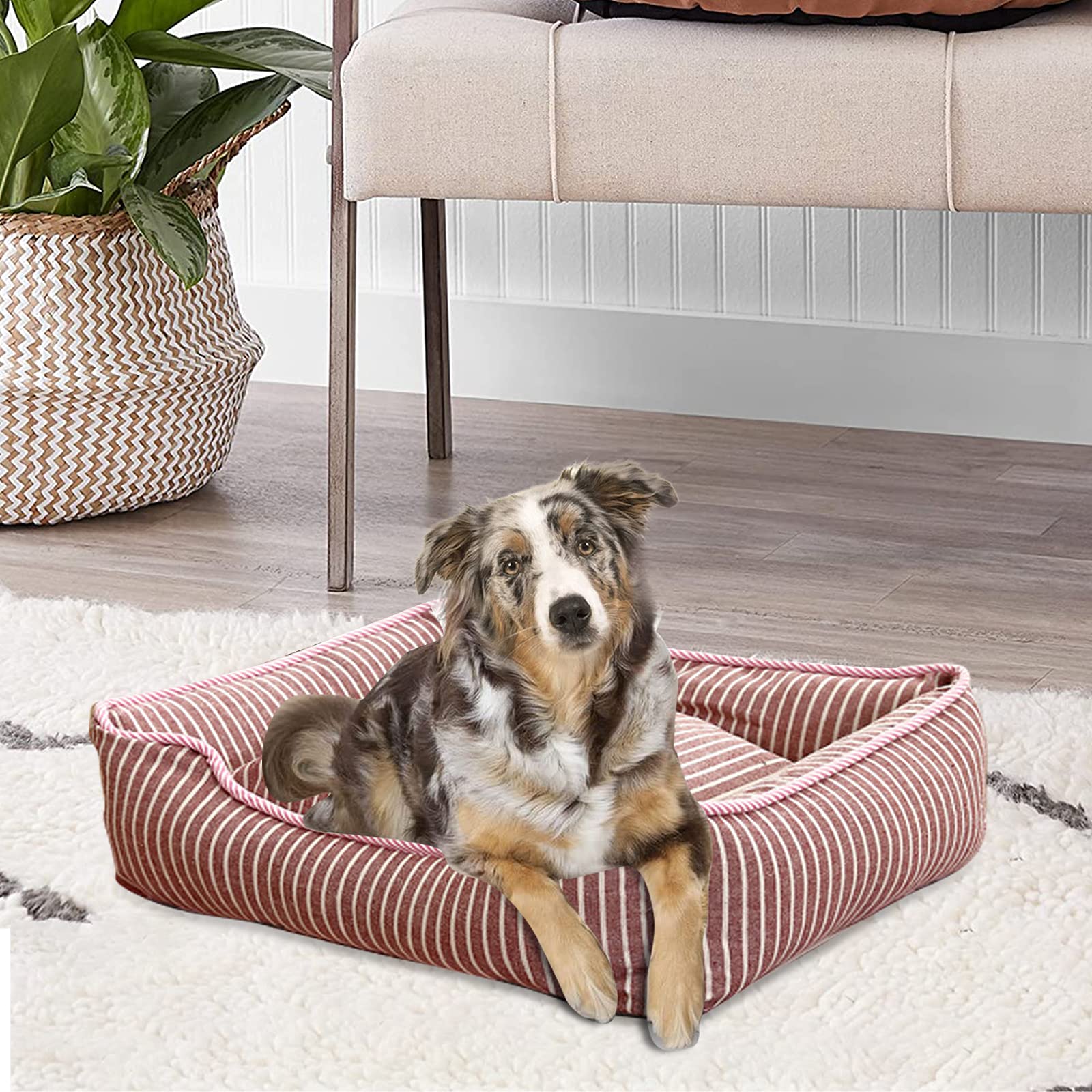 PETCUTE Cesto per cani durevole e confortevole, lavabile con cuscino per cani e gatti, lavabile in lavatrice, traspirante letto per cani con antiscivolo basso, con coperchio rimovibile