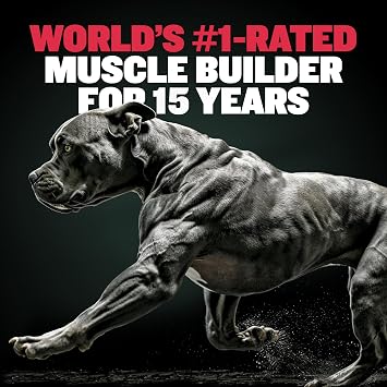 Bully Max Premium Performance Bundle 3-in-1 Liquid Muscle Builder & Weight Gainer Soft Chews for Healthy Muscle Growth, Weight Gain, Energy and Vitality for Puppies, Adults and Senior Dogs