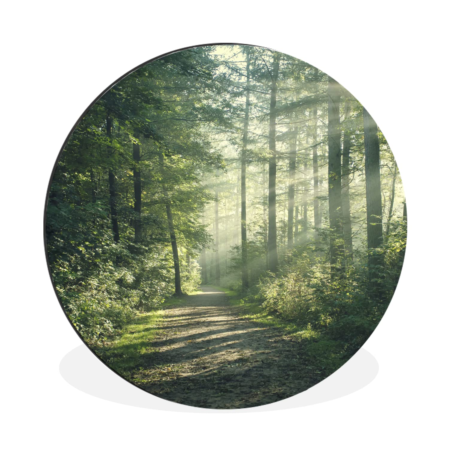 MuchoWow Wandbild Rund Wanddeko Deko Wohnzimmer Bilder 90x90 cm Wald - Licht - Weg