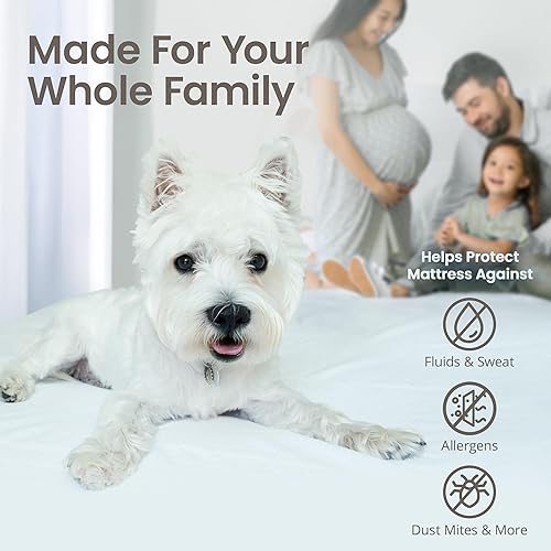 Miniatura 4 de SafeRest Protector de colchón impermeable tamaño Queen, absorbente, transpirable, suave, con bolsillos elásticos de 18 pulgadas de profundidad,