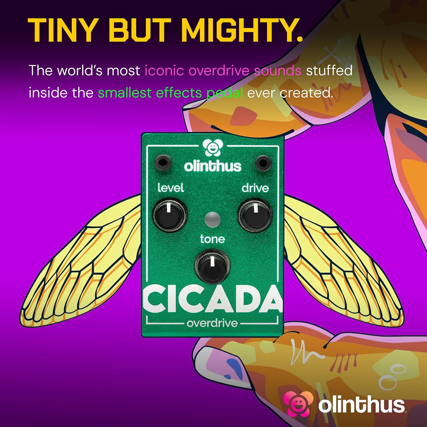 Olinthus Cicada Overdrive – World's Smallest Guitar Effects Mini Pedal