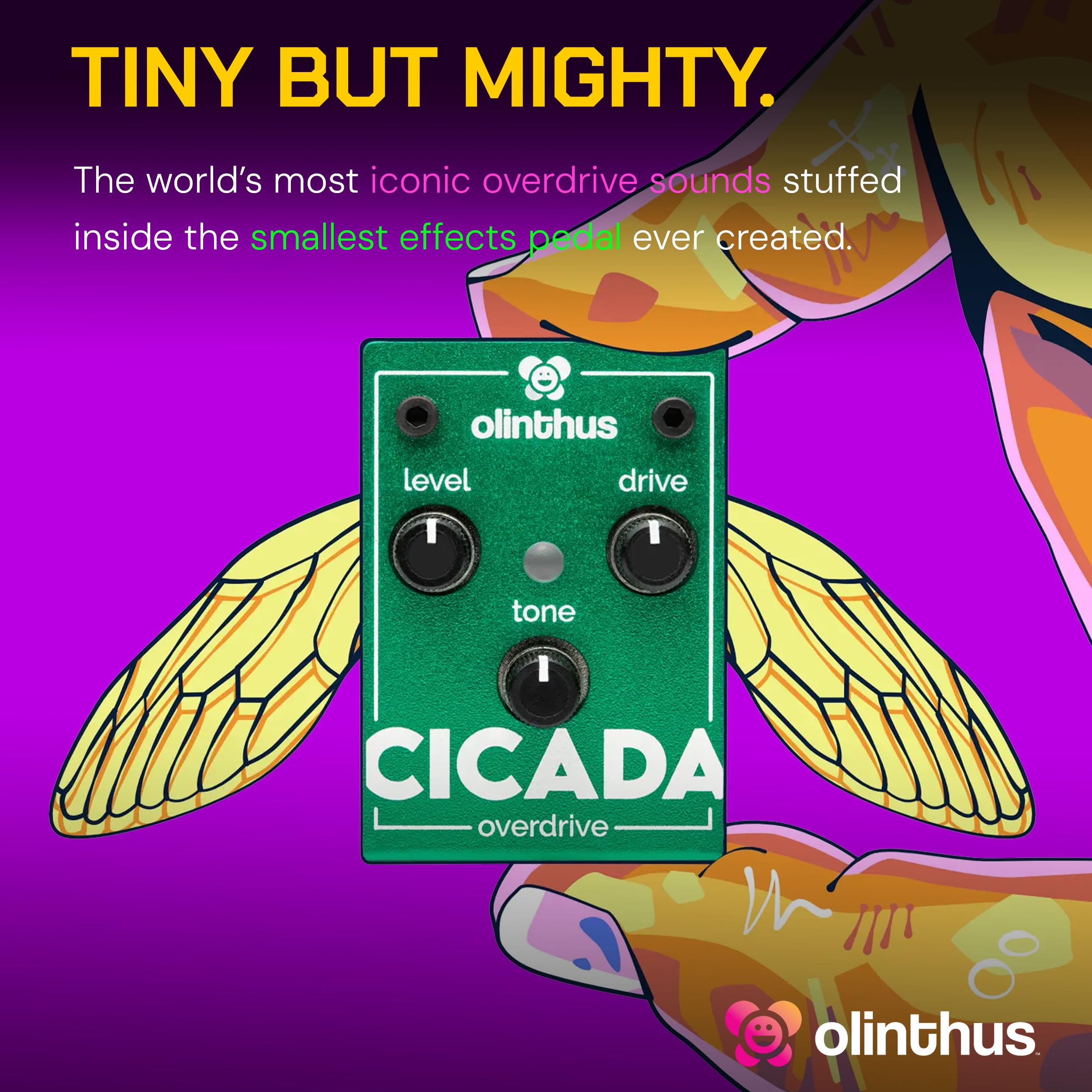 Olinthus オリンサス エフェクター オーバードライブ Cicada Olinthus オリンサス エフェクター オーバードライブ Cicada [入出力用
