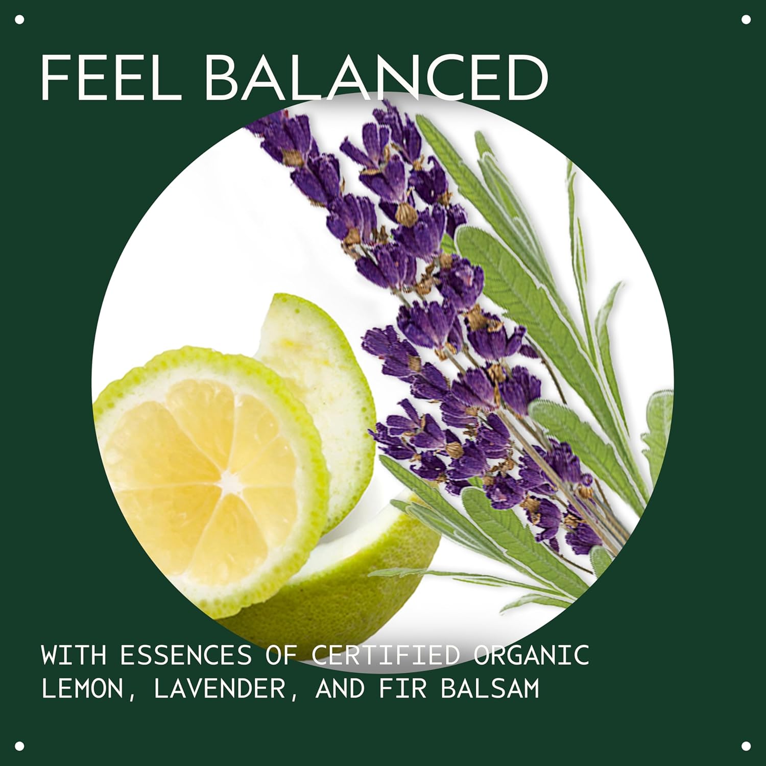 Aveda Chakra 3 Balancing Pure-Fume Mist: Intention | Body & Room Spray | Balances Power Chakra | With Certified Organic Lavender, Lemon, Fir Balsam, 3.4 Fl Oz - Image 3