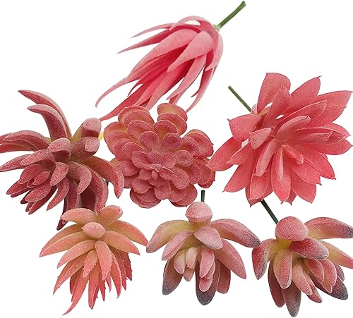 Miniatura 8 de Woohome 20 plantas suculentas artificiales, suculentas falsas rojas, surtido de suculentas falsas sin maceta, flocadas en diferentes tipos para