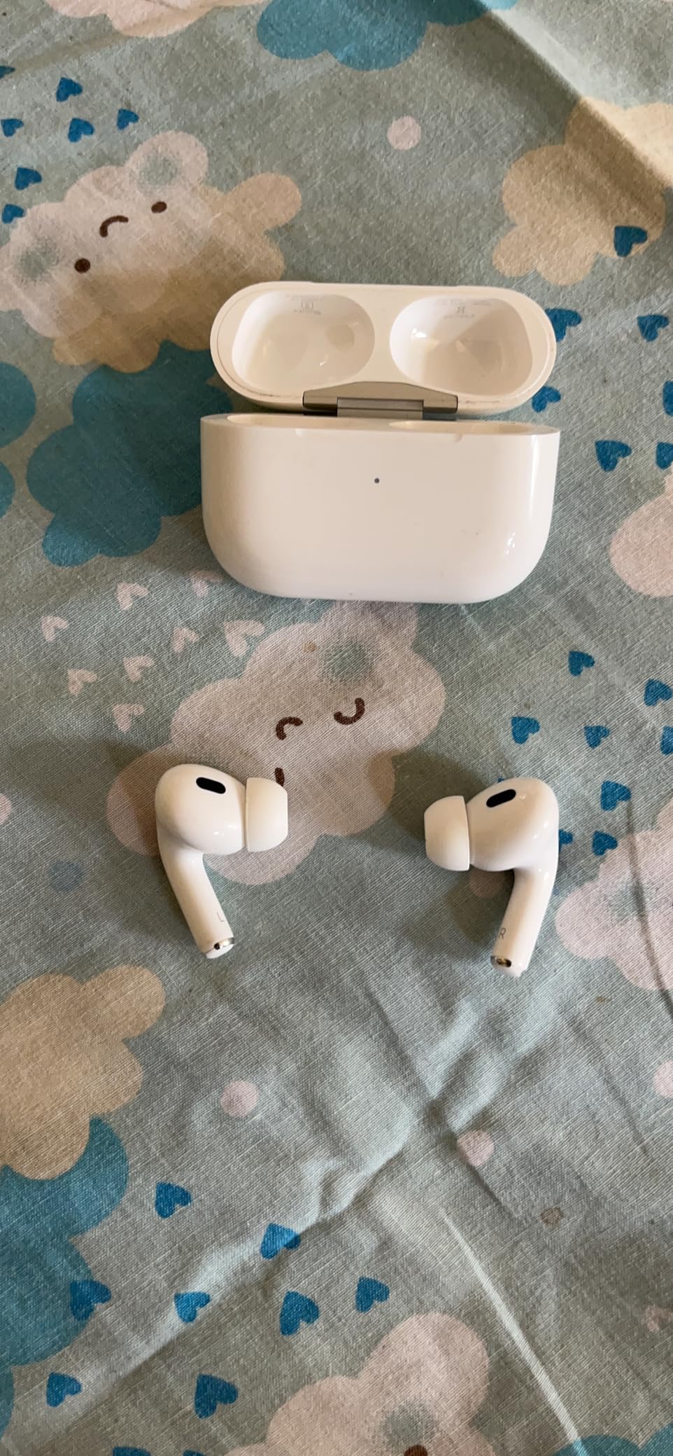 Airpods Pro (2nd Gen)