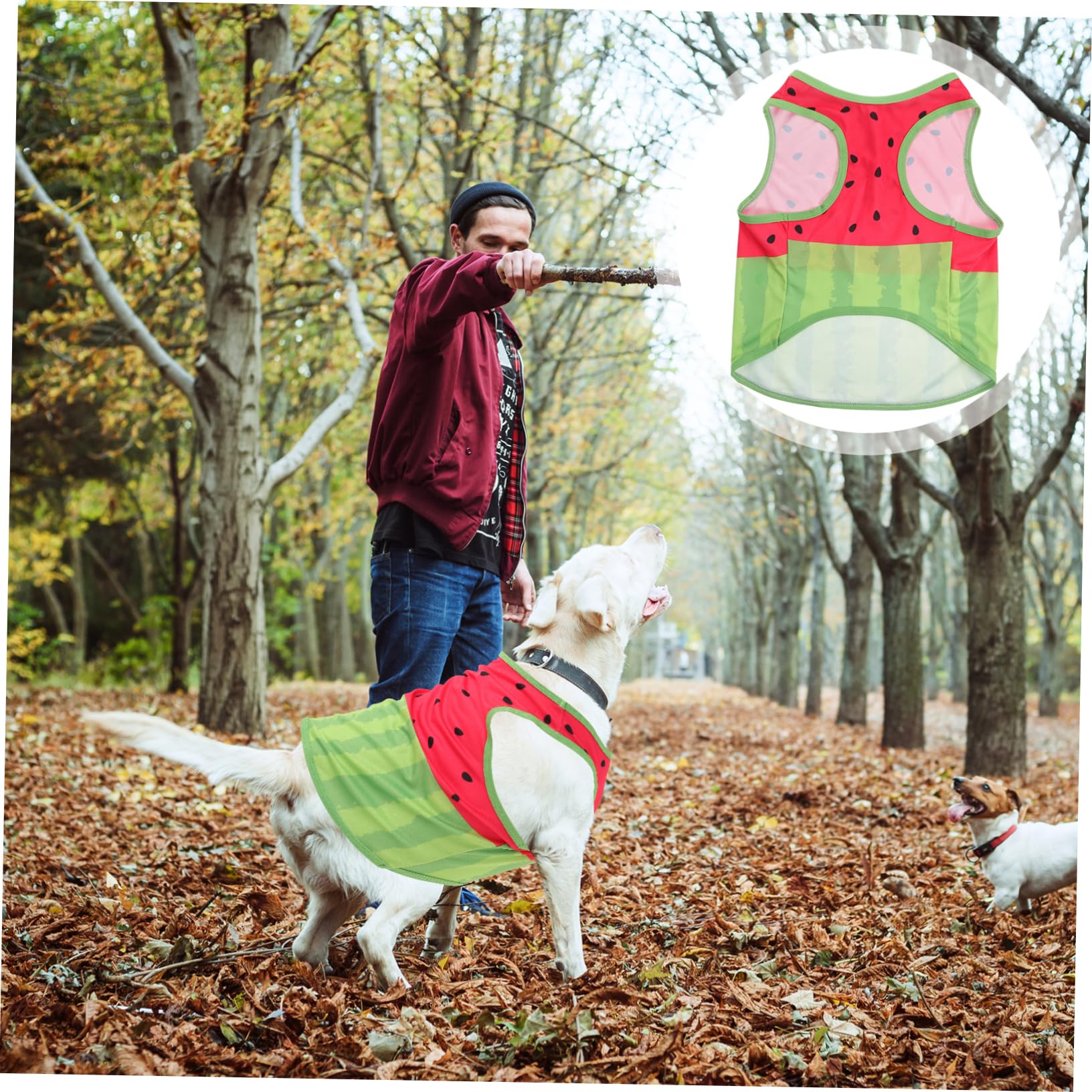 Gilet Rafraîchissant Soie Motif Pastèque pour Chien Taille L