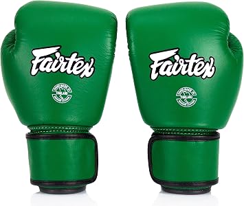 Fairtex BGV16 Compact Boxing Gloves, Leather Muay Thai MMA Kickboxing Gear