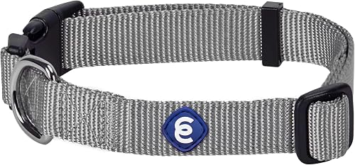 Blueberry Pet Essentials Medium Dog Collar in Flint Gray | Adjustable & Eco-Friendly Durable Nylon Strap
