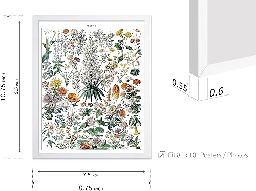 Miniatura 477 de Poster Master Póster vintage de orquídea, estampado de flores retro, arte de pared de plantas exóticas, arte botánico, regalo para hombres y