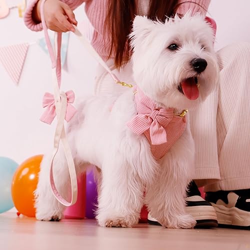 Miniatura 3 de Didog Lindo arnés para perro pequeño con corbata de lazo, arnés acolchado de malla suave transpirable para cachorro, arnés rosa para perros para