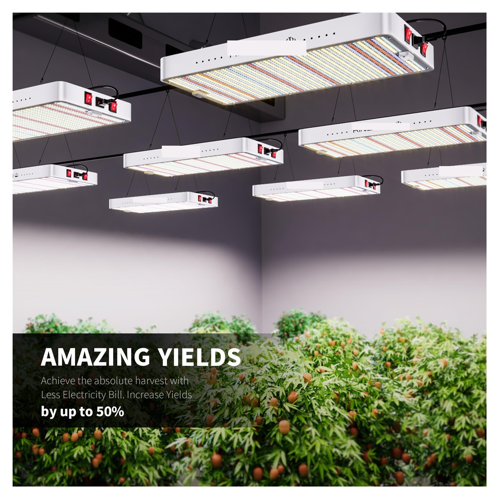 Lámpara de Cultivo, 3 uds 2000W LED Crece la luz 301h Phytolamp for Plantas de Interior plántulas Flor de Cultivo hidropónico