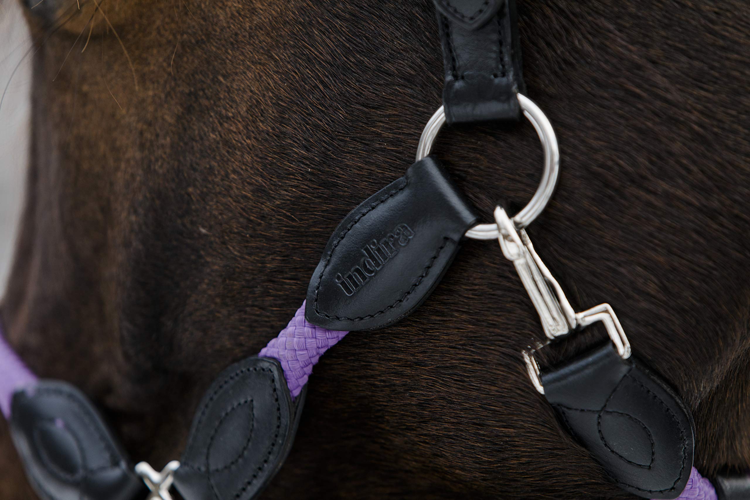 indira Seil-Leder-Halfter pro PP-Echtleder (Pony, Blau 01)