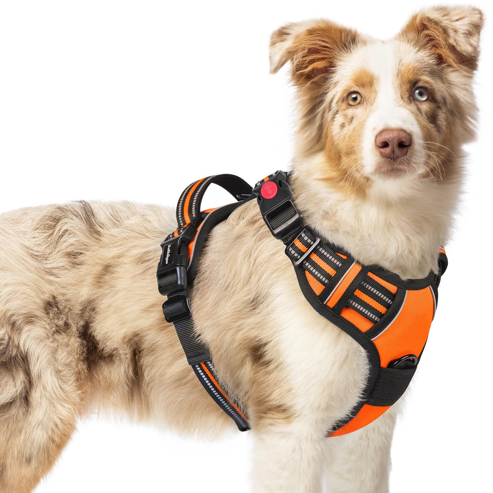 rabbitgoo Dog Harness Medium Sized, No Pull Pet Harness with 3 Buckles, Adjustable Soft Padded Vest with Control Handle, Walking Reflective Pet Vest